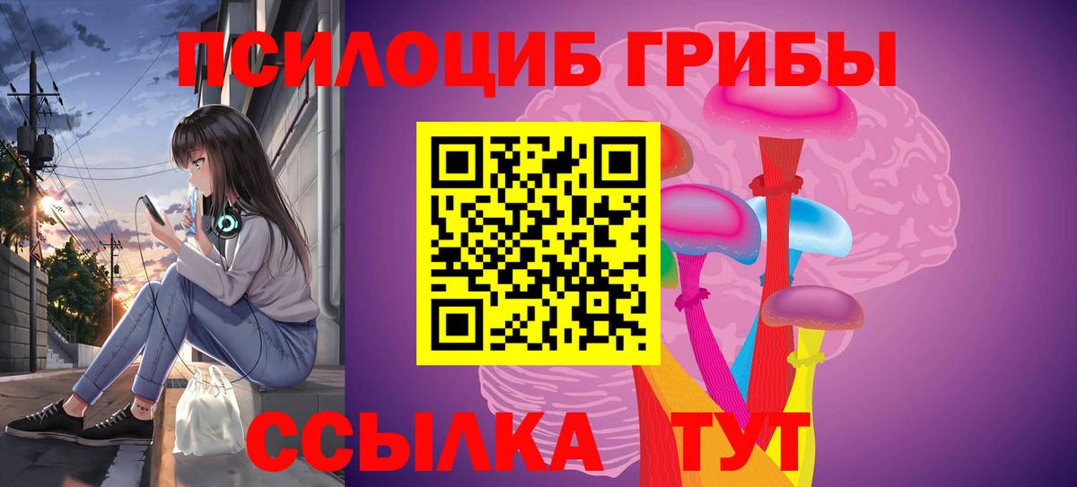 Волхов  Галлюциногенные грибы прущие грибы  купить наркотики сайты  Псилоцибиновые грибы Psilocybe  Вход с VPN 