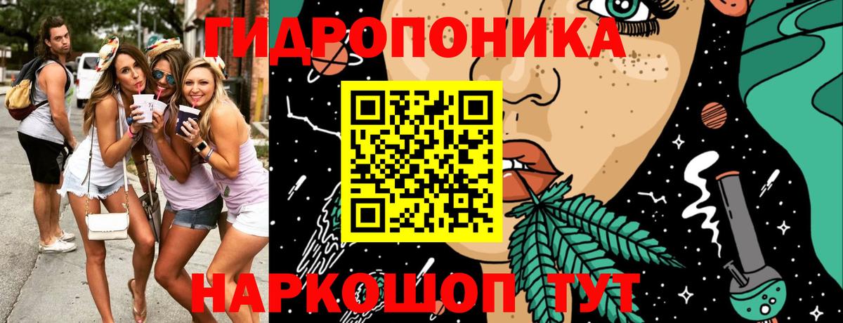 Волхов  Бошки марихуана VHQ  Вход с VPN  Канабис планчик  Бошки марихуана индика  Марихуана Amnesia 